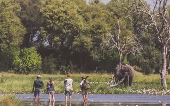 Walking Safaris in Botswana